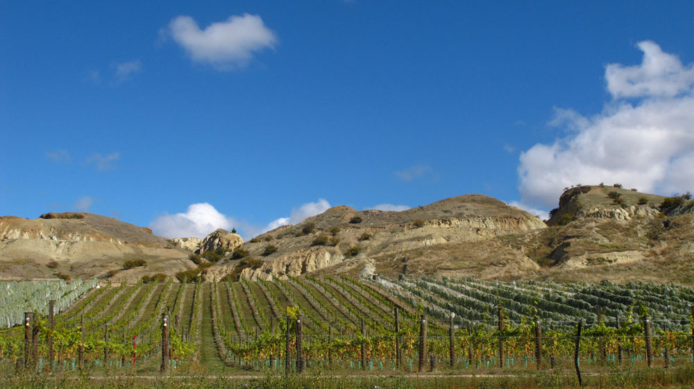 vineyards and mountains in central otago