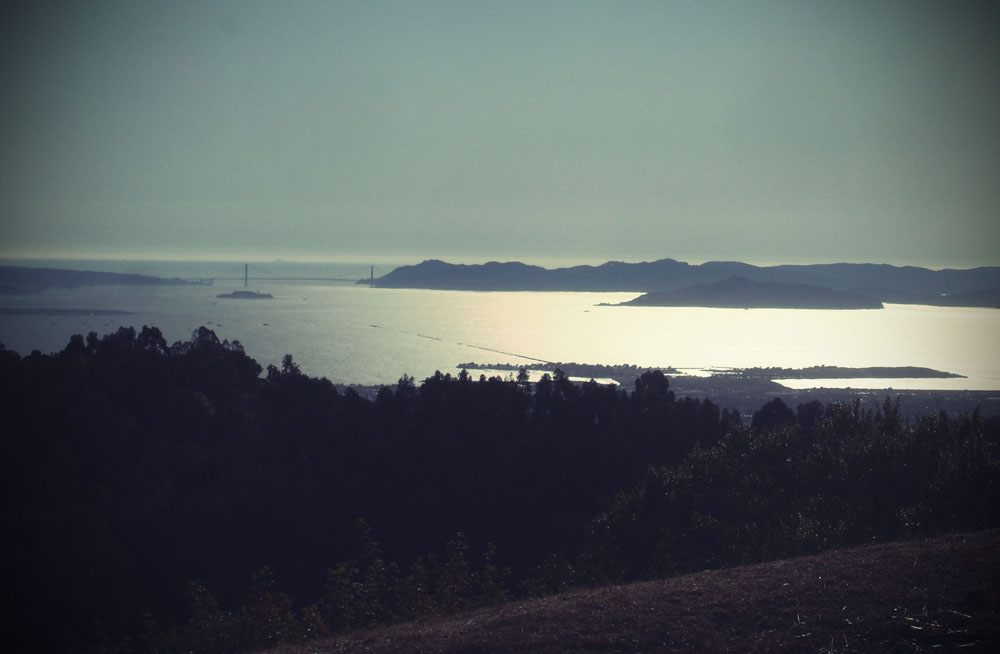 View of the San Francisco Bay from the Berkeley Hills