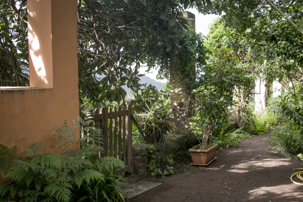 Cottage garden walkway | Santa Brigida, Gran Canaria, Spain
